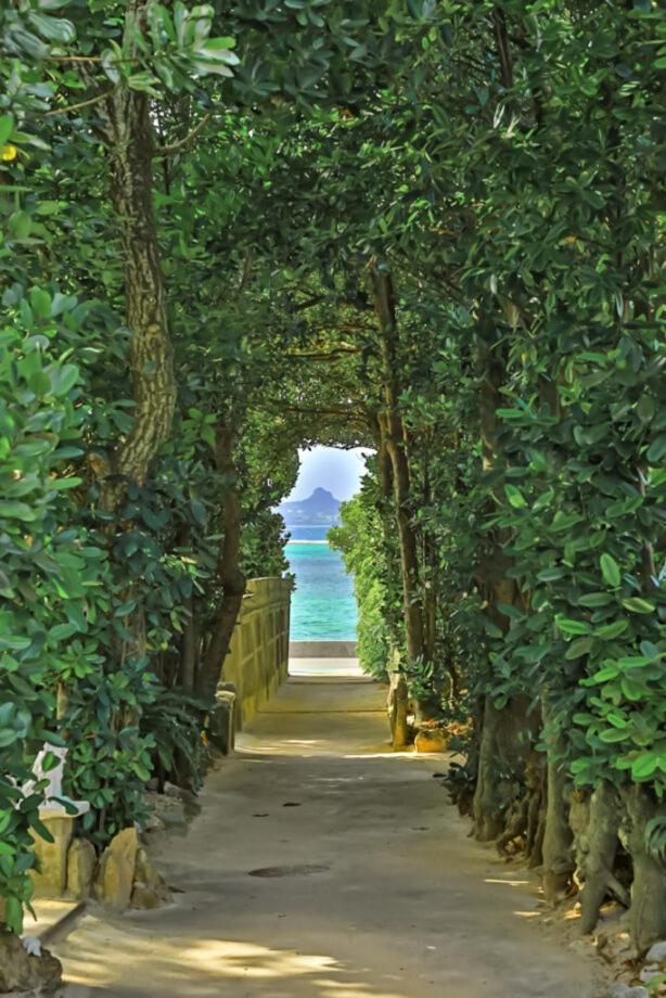 Private Villas Ryuz備瀬 Motobu Dış mekan fotoğraf