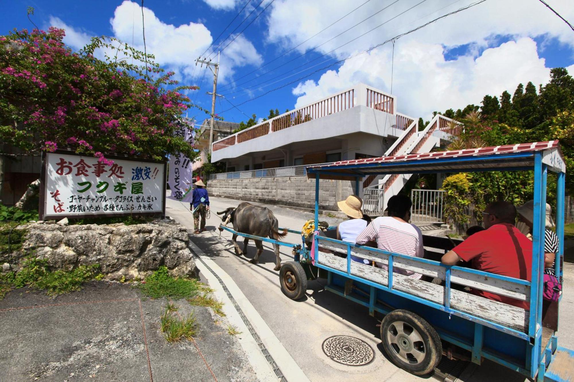 Private Villas Ryuz備瀬 Motobu Dış mekan fotoğraf